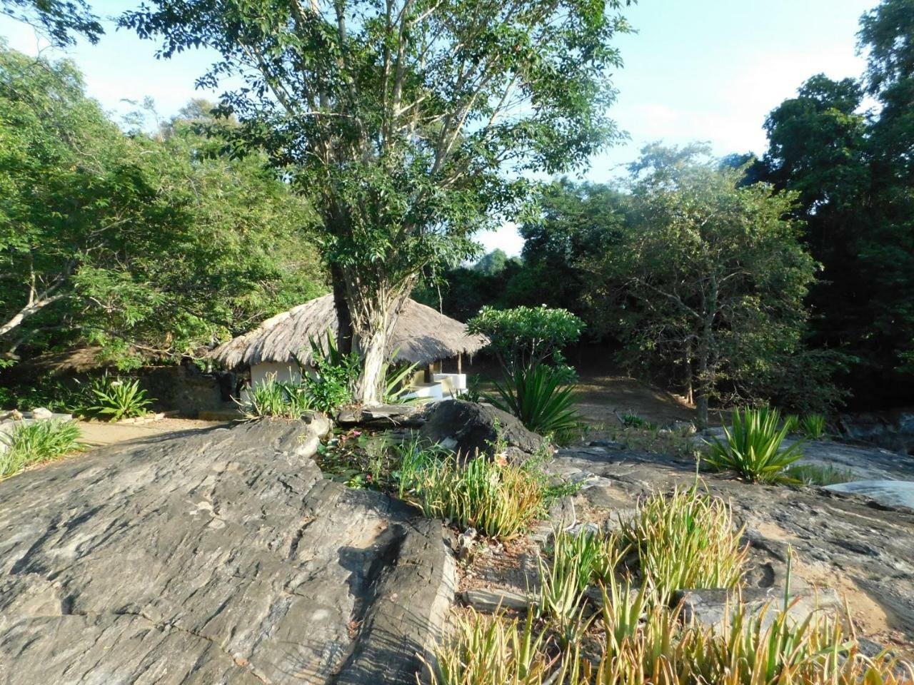Galapita Eco Lodge Buttala Camera foto
