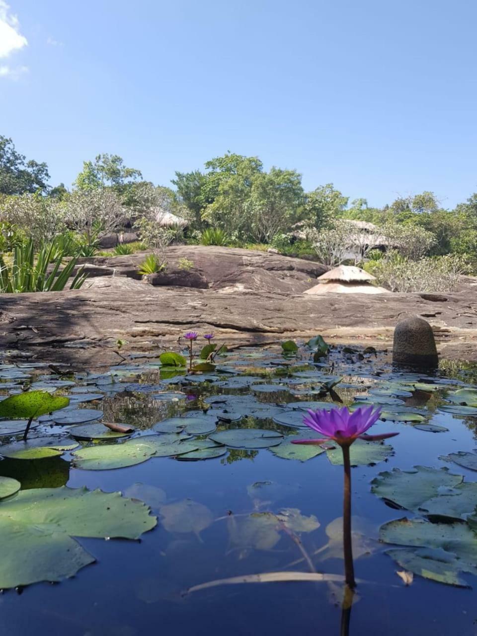 Galapita Eco Lodge Buttala Esterno foto